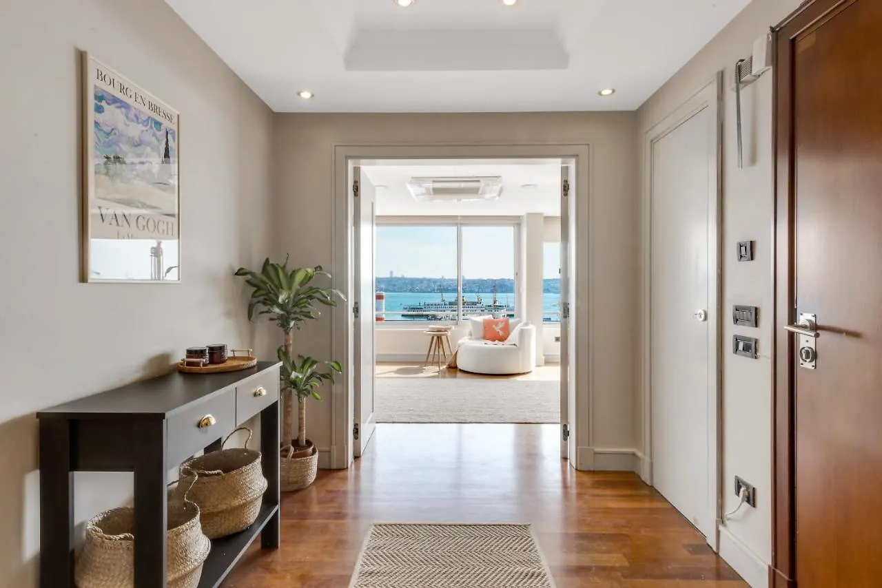 Amazing Bosphorus View Apartment Стамбул